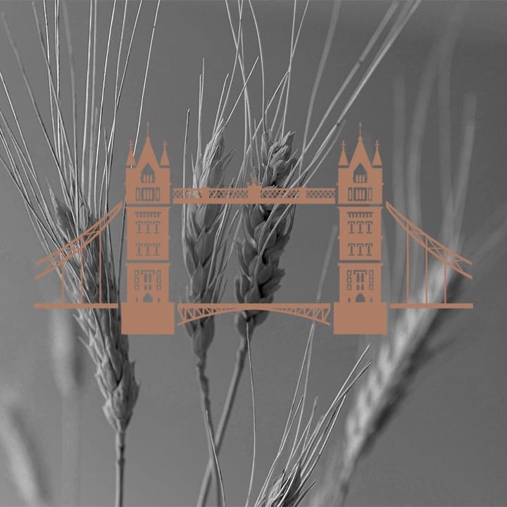 London tower bridge - icon - en del af den visuelle identitet