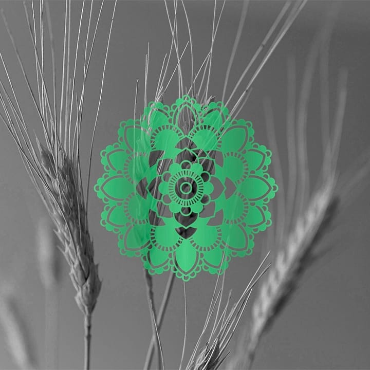 Pale ipa - mønster icon - en del af den visuelle identitet